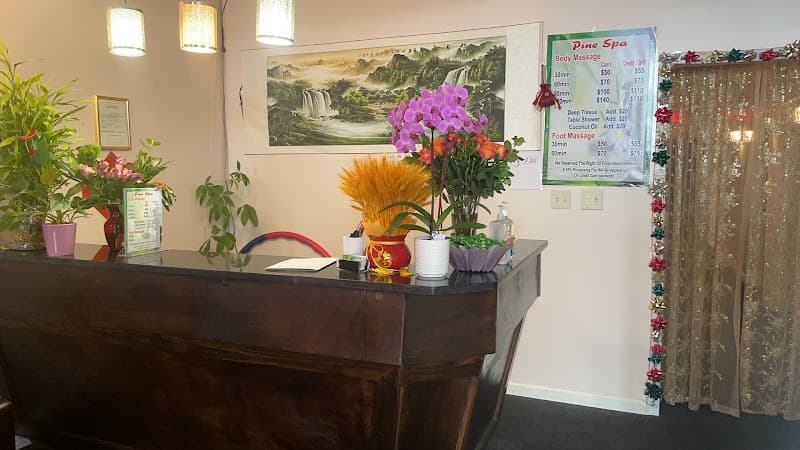 Pine Spa Singapore photo