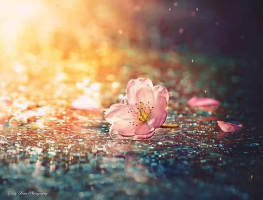 Plume De Cristal L'Isle-Jourdain photo