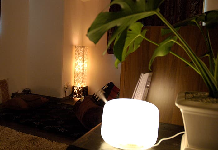 Plumeria - Plumeria - Itabashi, Tokyo Basalt & Reflexology & Aroma Itabashi City photo