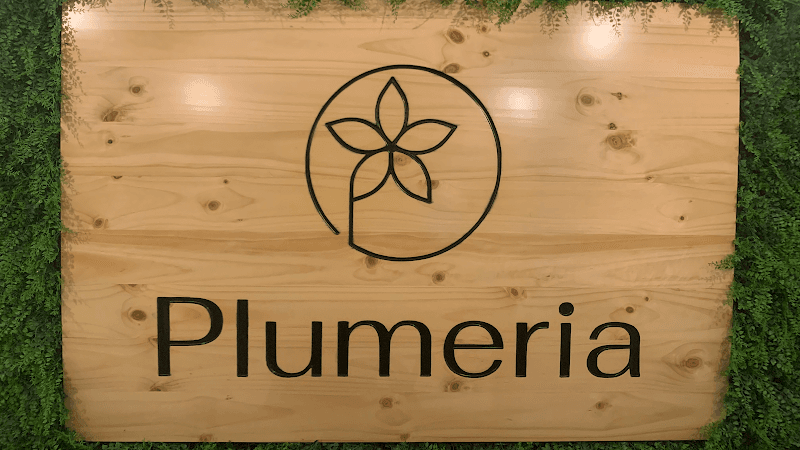 Plumeria Spa Manuel Antonio photo