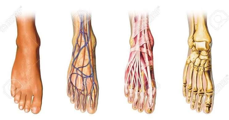 Podologia integral Damiana Iztapalapa photo