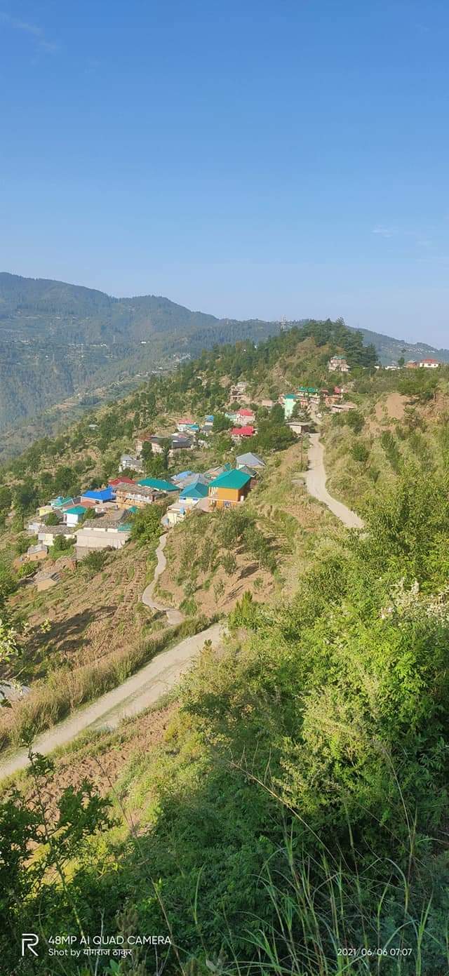 Pokhi Karsog photo