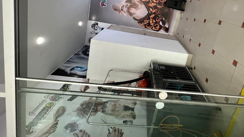 Ponme Guapo Grooming Spa Villa El Salvador photo