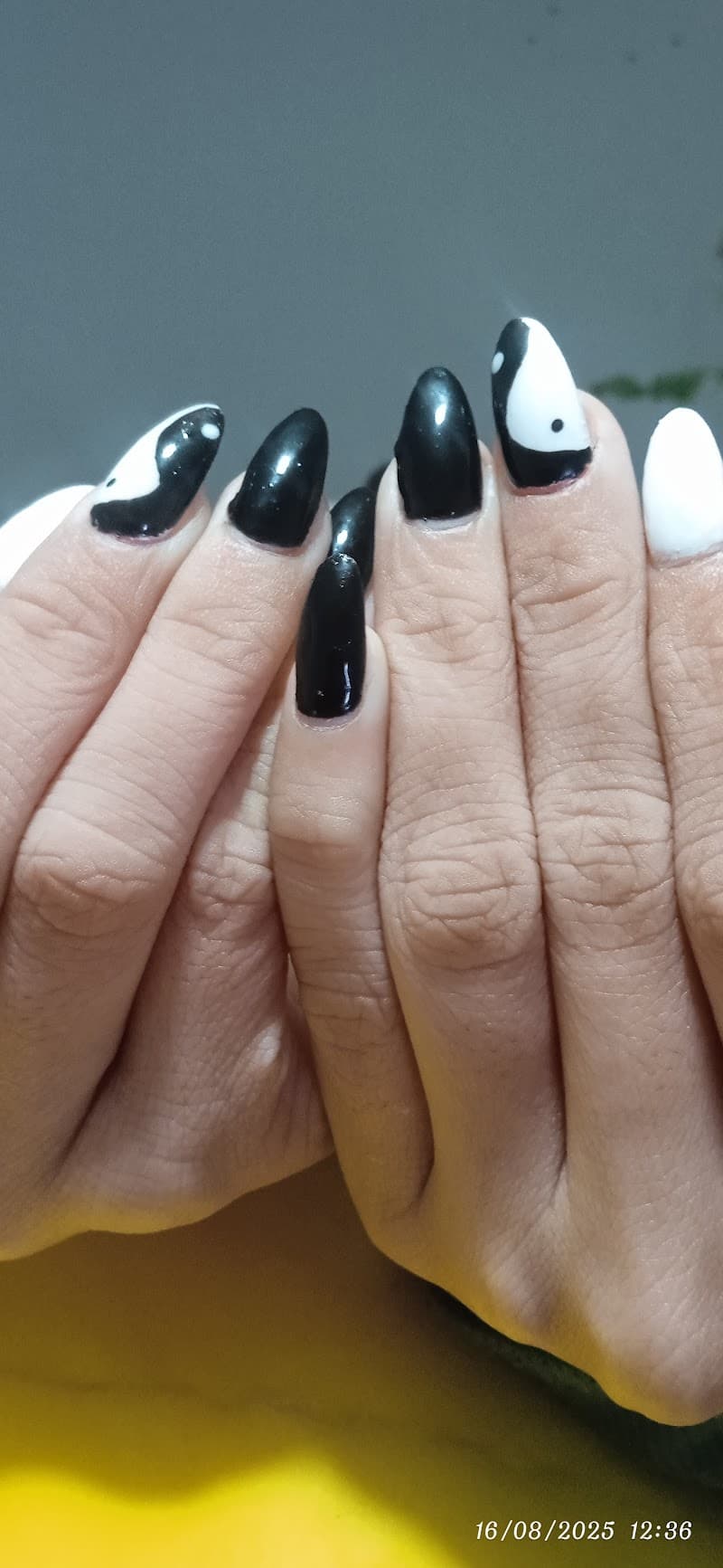 Ponte Bonita Santiago photo