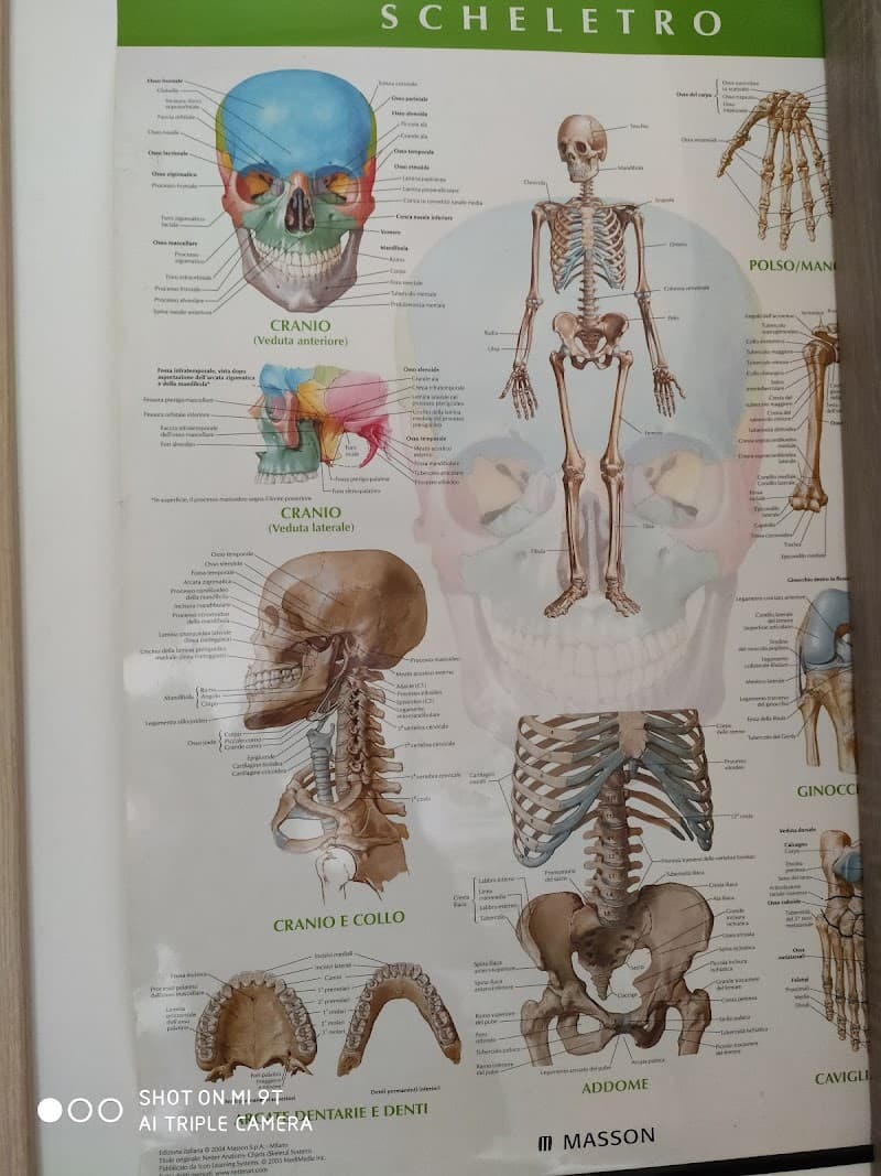 Postura Massaggio Terapia Manuale Michele Cafagna Barletta photo