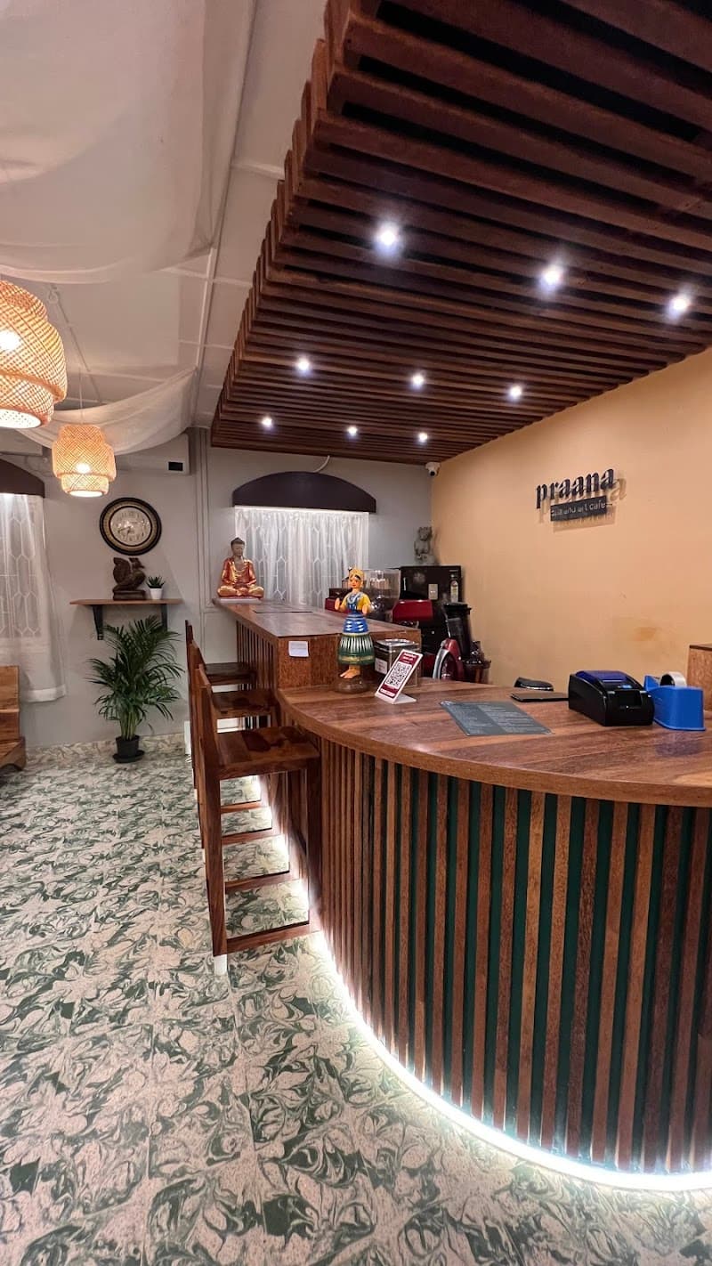 Praana Spa Holetown photo