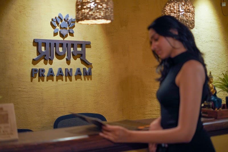 Praanam Spa By Ojasva Wellness Udaipur photo