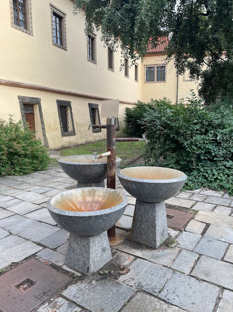 Pramen Hohenlohe Poděbrady photo