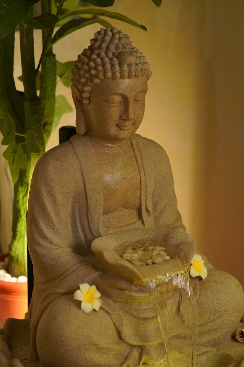 Pranaa wellness spa Mumbai photo