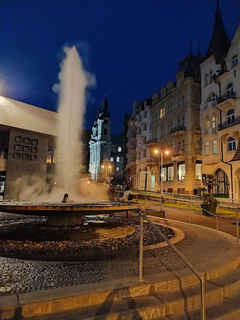 Prezident Karlovy Vary photo