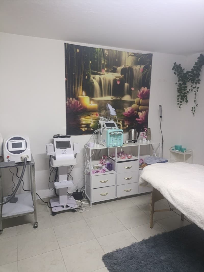 Princess Spa and Belleza Gustavo A Madero photo