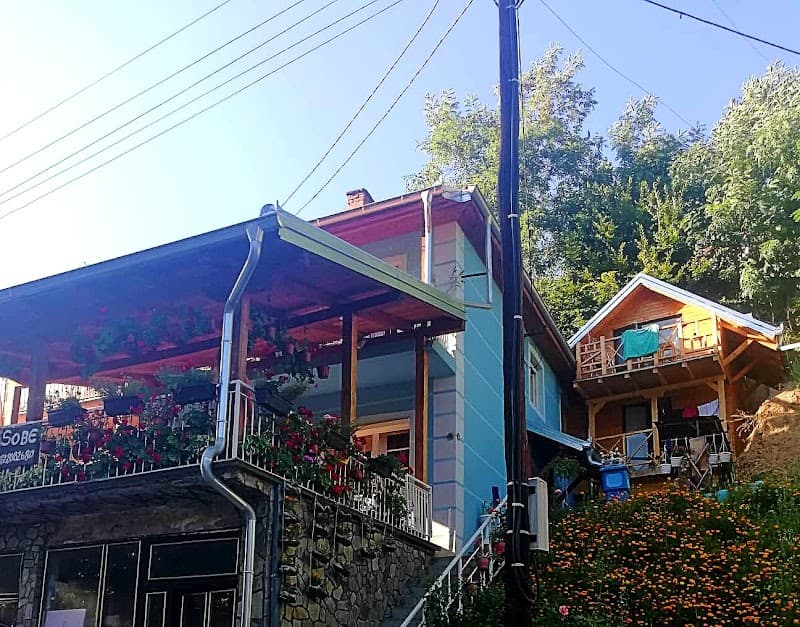 Privatni smestaj -Sijarinska Banja- Gaga photo