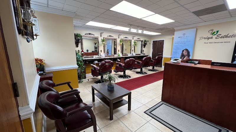 Priya Esthetics Herndon photo