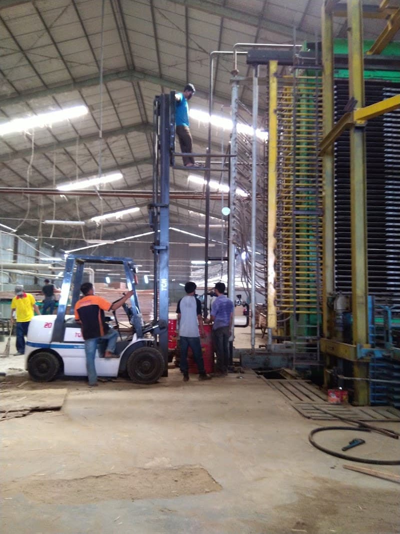 Pt. Muara Kayu Sengon Jatilawang Banyumas photo