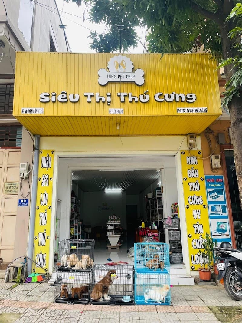 PTIT Cửa hàng thú cưng Đông Hà photo