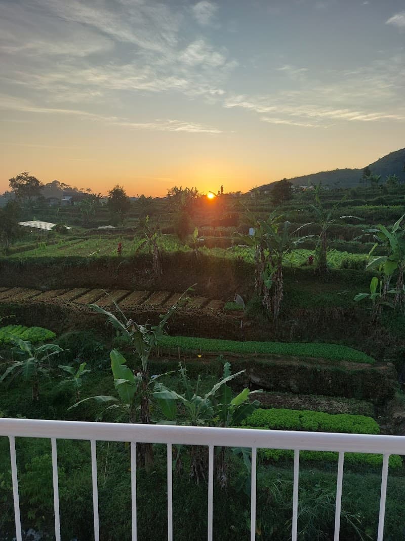 Puncak Bogor photo