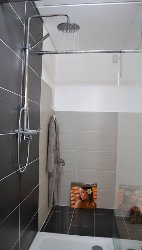 Ingelheim am Rhein pur L harmonie photo