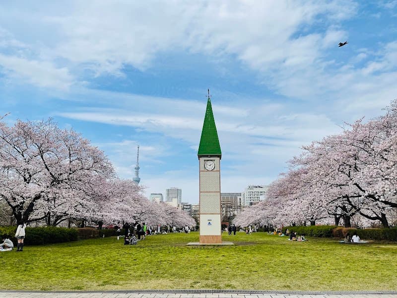 Purakai Koto City photo