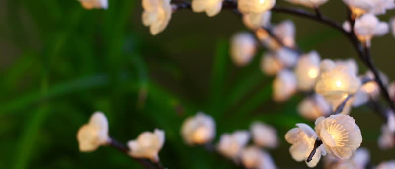 Pure Complexion Beauty & Skincare Spa Manchester photo