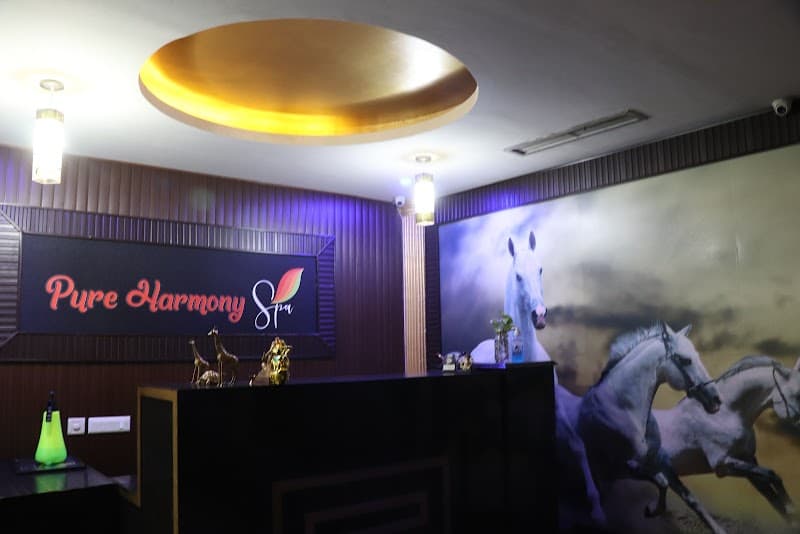 Pure Harmony Spa Ludhiana photo