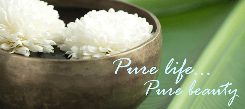 Pure Indulgence Organic Day Spa Morehead City photo