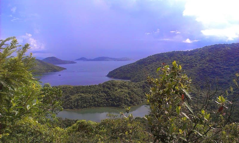 Pure Serenity Massage Therapy / pureserenitybuda.massagetherapy.com Buda photo