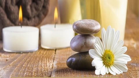 Purify Beauty Skin and Body Fort Collins photo