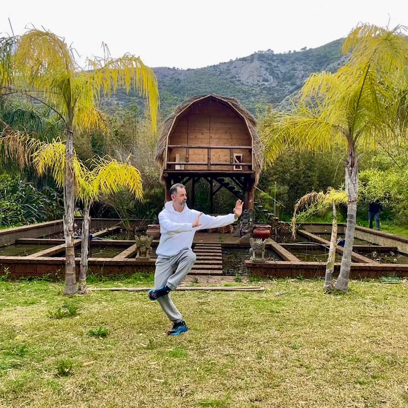 Qi gong, shiatsu and meditation.Internal(martial) arts Maditou 9-11 photo