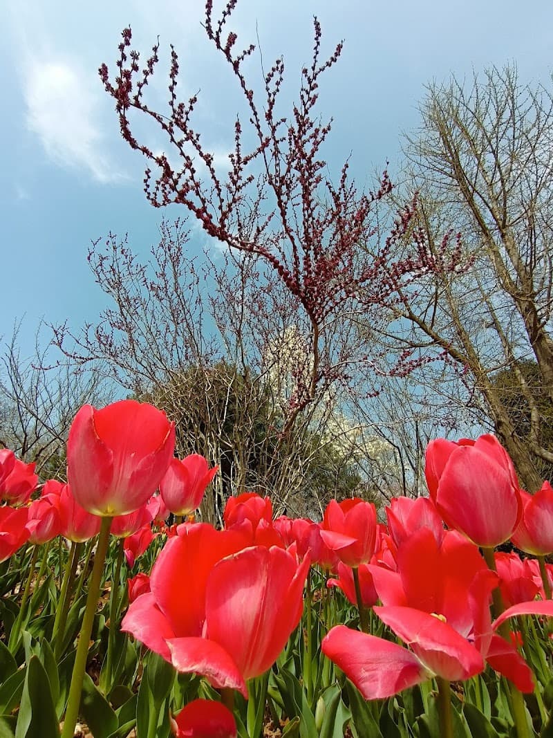 Qingzhu Garden Qingdao photo