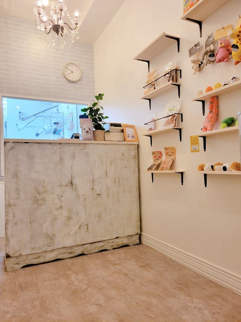 Queens Spa Hatchobori Chuo City photo