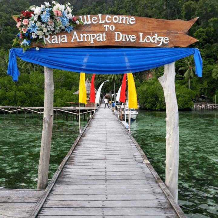 Raja Ampat Dive Lodge photo
