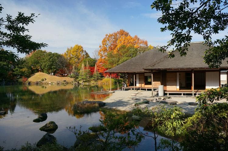 Raku Momi 500 Fukui City photo