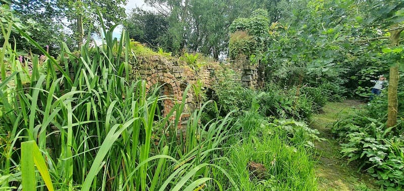 Rana Feet Dreischor photo