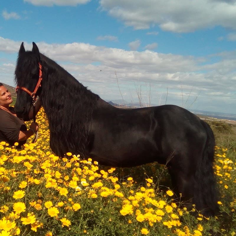 Rancho De La Fuente Campo Largo photo