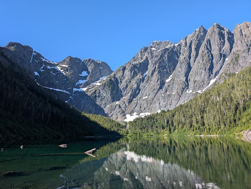 Rare Remedies of the West Coast Strathcona photo