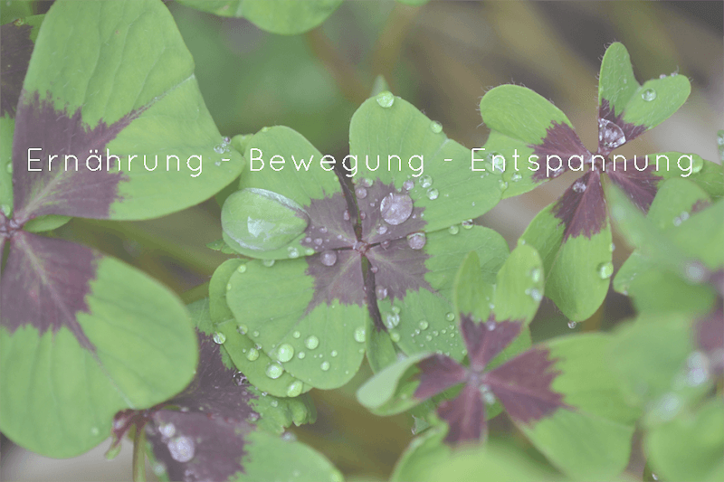 Raum für Zeit Frankfurt am Main photo