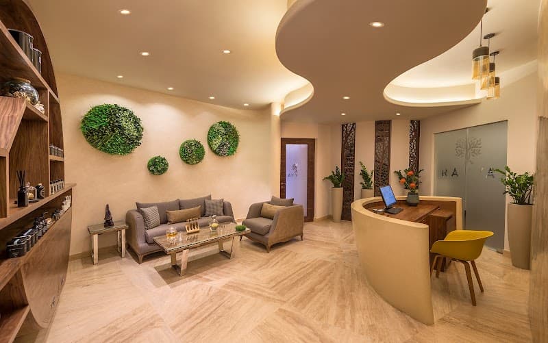 Rayya Wellness Dubai photo