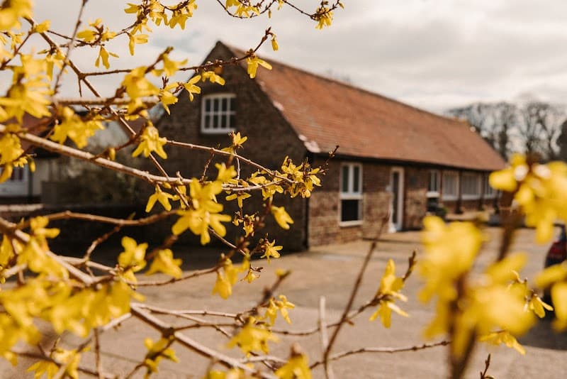 Reading Room Day Spa Sussex photo