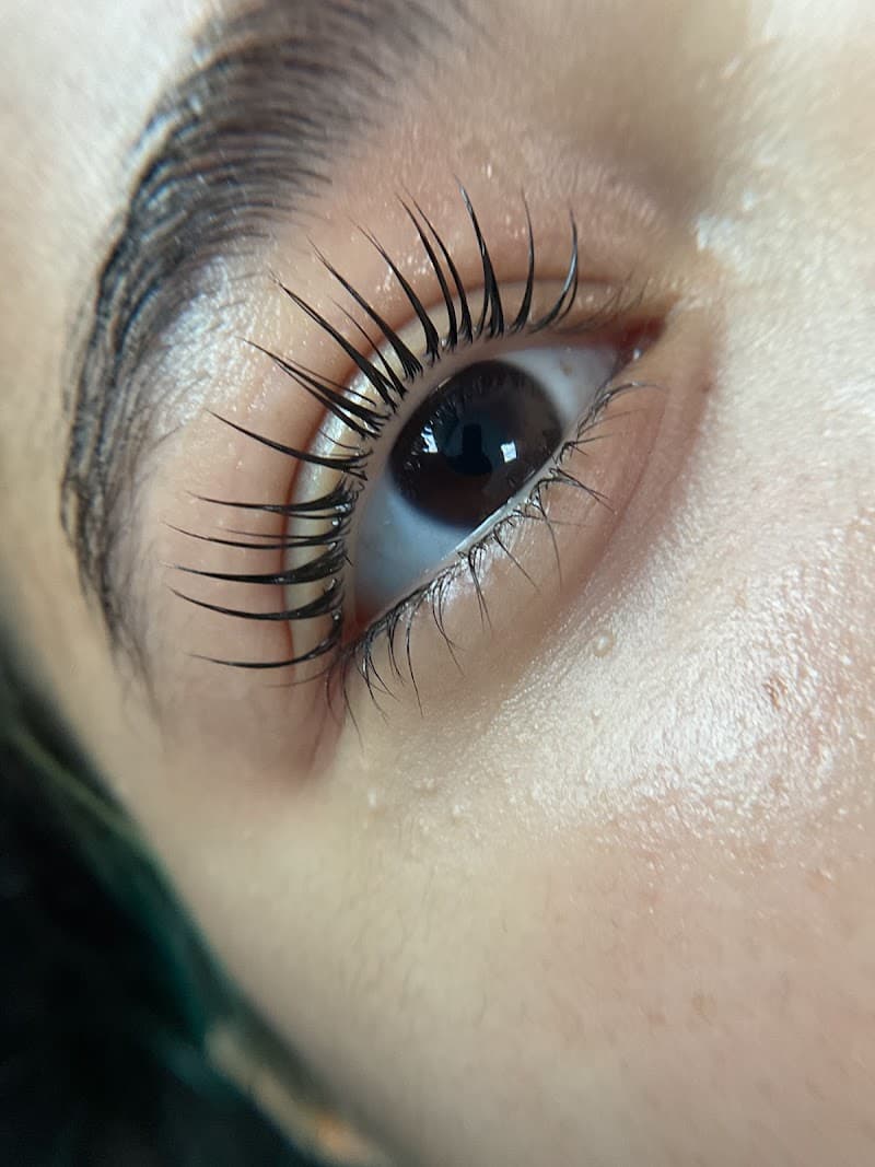 Rebecka Rivera | Micropigmentación | Cejas | Brow Lamination | Lash Lift | Labios Caguas photo