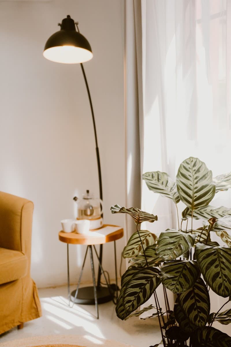 Red Cedar Skin and Wellness Bellingen photo