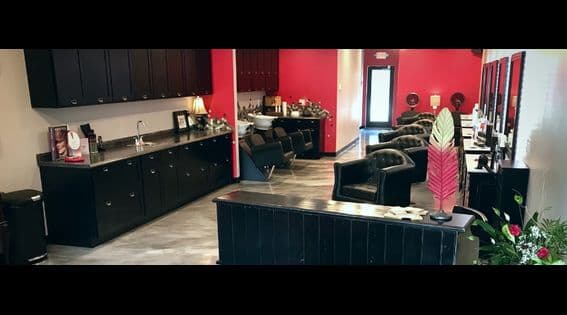 Red Feather Salon Sarasota photo