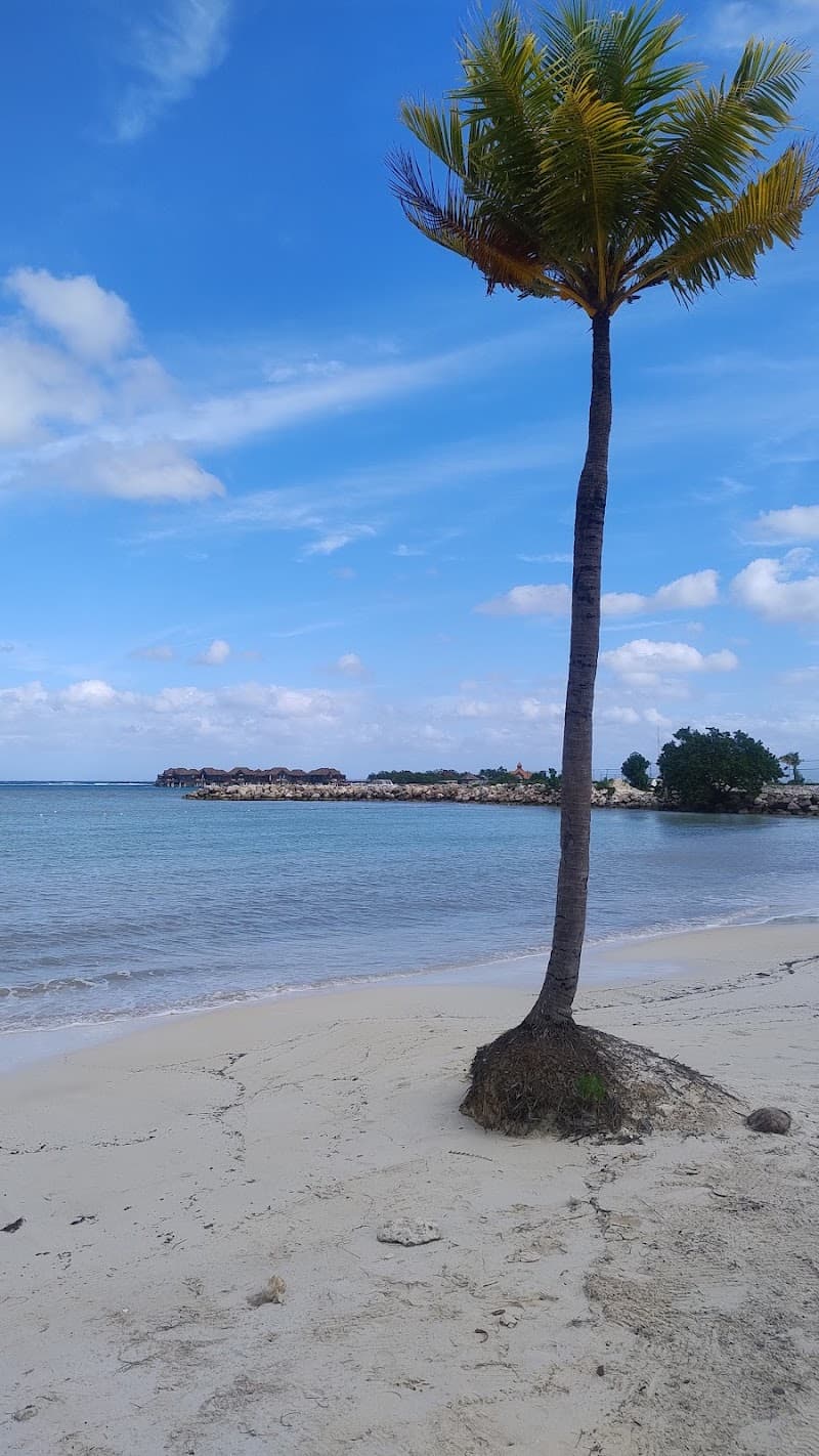 Red Lane Spa Royal Caribbean St James photo