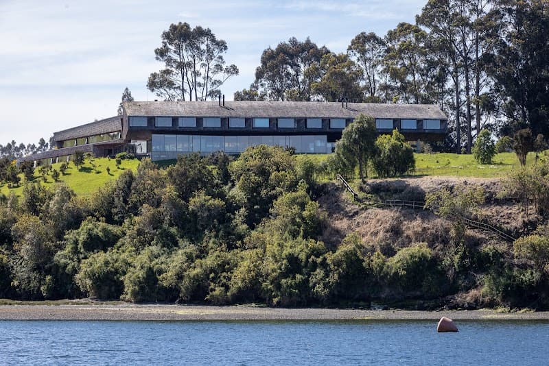 Refugia Chiloé Patagonia photo