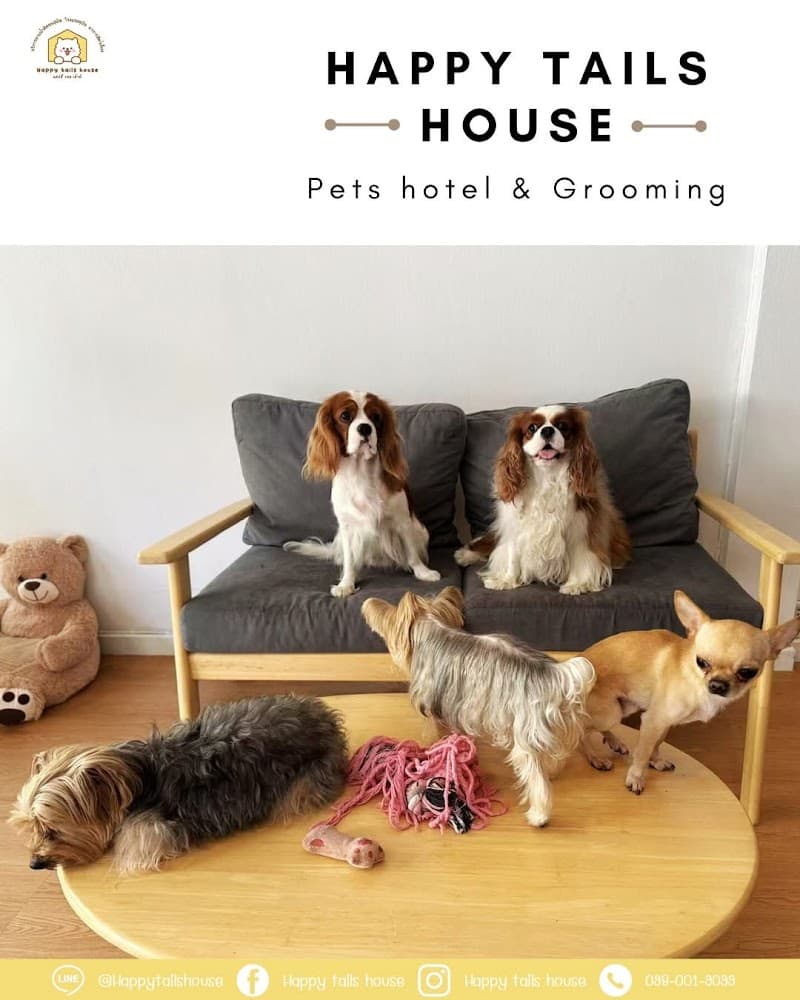 Reheemas doggie getaway and spa Stockbridge photo