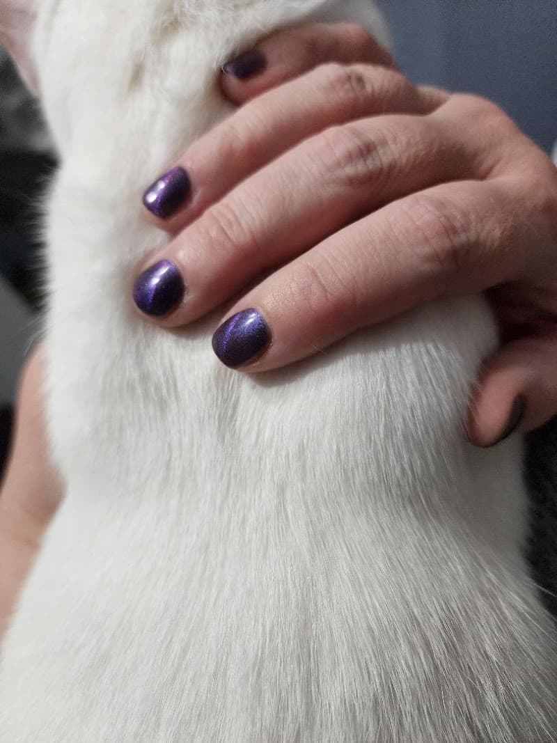 Reiki and Esthetics by Maggie Rose North Bay photo