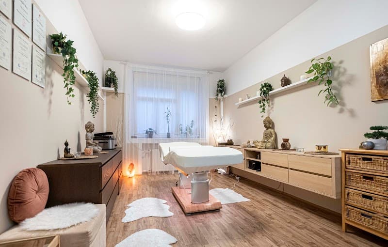 Relax Point Prague Praha photo