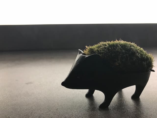 Relaxation Salon Tsukihihoshi Nanto City photo