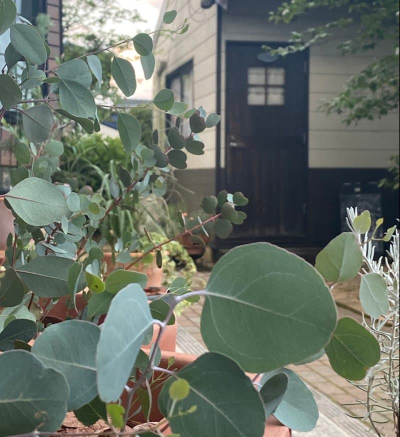 Relaxation Studio La Petite Azumino City photo