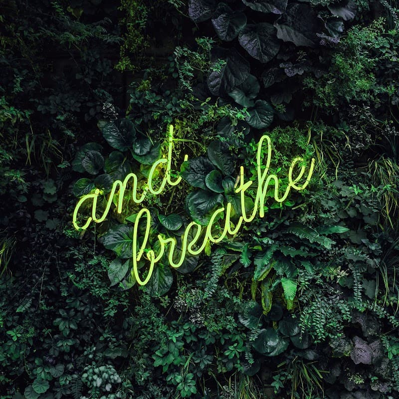 Relaxify Alphen aan den Rijn photo