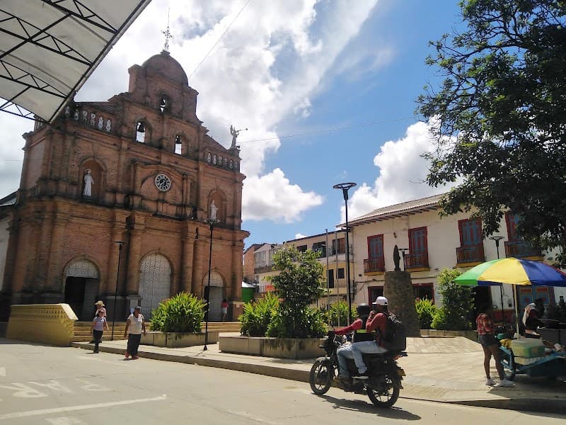 Remedios Ant photo